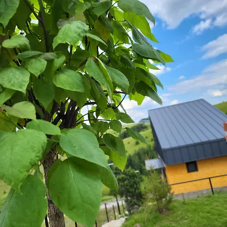 Huut Zlatibor